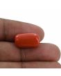 Red Coral (Moonga) - 12.68 Carat 