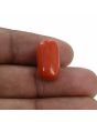 Red Coral (Moonga) - 12.68 Carat 