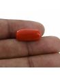 Red Coral (Moonga) - 11 Carat 