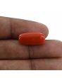 Red Coral (Moonga) - 11 Carat 