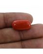 Red Coral (Moonga) - 11 Carat 