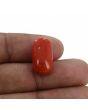 Red Coral (Moonga) - 11 Carat 