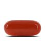 Red Coral (Moonga) - 10.43 Carat 