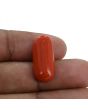 Red Coral (Moonga) - 10.43 Carat 