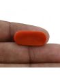Red Coral (Moonga) - 10.43 Carat 