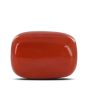 Red Coral (Moonga) - 13 Carat 