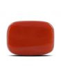 Red Coral (Moonga) - 13 Carat 