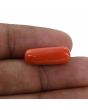 Red Coral (Moonga) - 10.04 Carat 