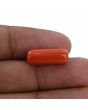 Red Coral (Moonga) - 8.24 Carat 