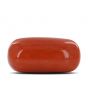 Red Coral (Moonga) - 9.71 Carat 