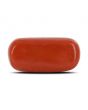 Red Coral (Moonga) - 9.71 Carat 