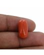 Red Coral (Moonga) - 9.71 Carat 