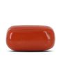 Red Coral (Moonga) - 10.69 Carat 
