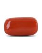 Red Coral (Moonga) - 10.69 Carat 