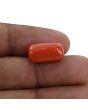 Red Coral (Moonga) - 10.69 Carat 