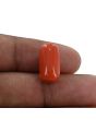 Red Coral (Moonga) - 10.69 Carat 