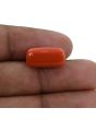 Red Coral (Moonga) - 10.69 Carat 