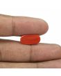 Red Coral (Moonga) - 5.51 Carat 