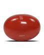 Red Coral (Moonga) - 5.08 Carat 