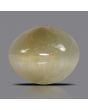 Quartz Cat's Eye - 6.01 Carat 
