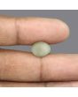 Quartz Cat's Eye - 6.01 Carat 