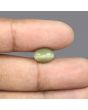 Quartz Cat's Eye - 4.38 Carat 