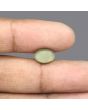 Quartz Cat's Eye - 4.38 Carat 