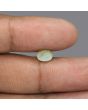 Chrysoberyl Cat`s Eye - 2.88 Carat 