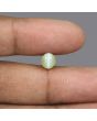 Chrysoberyl Cat`s Eye - 3.55 Carat 