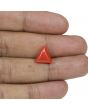Red Coral (Moonga) - 5.08 Carat 