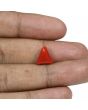 Red Coral (Moonga) - 5 Carat 