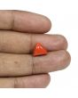 Red Coral (Moonga) - 5.15 Carat 