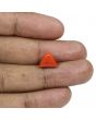 Red Coral (Moonga) - 5.15 Carat 