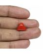 Red Coral (Moonga) - 7.67 Carat 