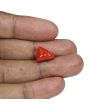 Red Coral (Moonga) - 7.21 Carat 