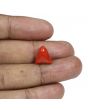 Red Coral (Moonga) - 7.26 Carat 