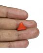 Red Coral (Moonga) - 6.81 Carat 