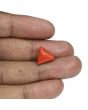 Red Coral (Moonga) - 6.81 Carat 