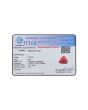 Red Coral (Moonga) - 7.03 Carat 