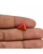 Red Coral (Moonga) Carat 3.16 