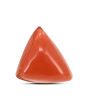Red Coral (Moonga) Carat 3.05 