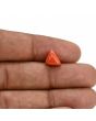 Red Coral (Moonga) Carat 3.05 
