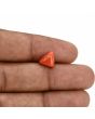Red Coral (Moonga) Carat 3.05 