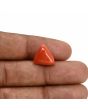 Red Coral (Moonga) Carat 8.95 