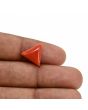 Red Coral (Moonga) Carat 5.22 