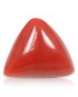 Red Coral (Moonga) - 7.64 Carat 
