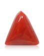 Red Coral (Moonga) - 7.67 Carat 