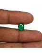 Zambian Emerald (Panna) - 2.5 Carat