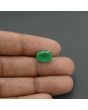 Zambian Emerald (Panna) - 4.09 Carat