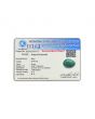 Zambian Emerald (Panna) - 38.46 Carat